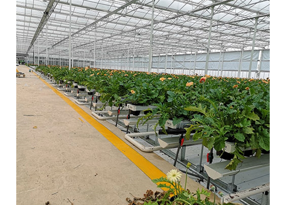  鲜切栽培槽种植系统
