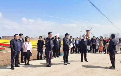 国开行青岛分行在中荷现代园艺中心内举行春季健步行活动，共赏郁金香花田